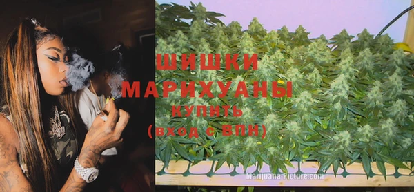 дмт Бронницы