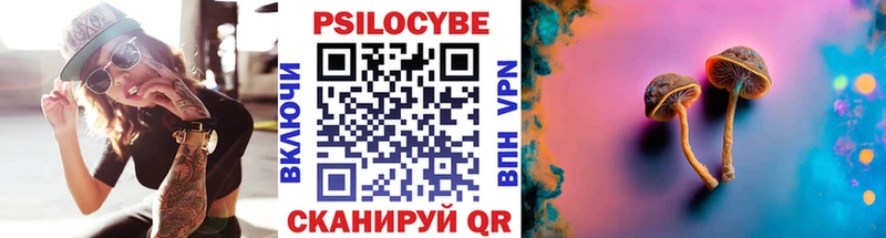 Купить где  Шенкурск  Псилоцибиновые грибы мицелий 